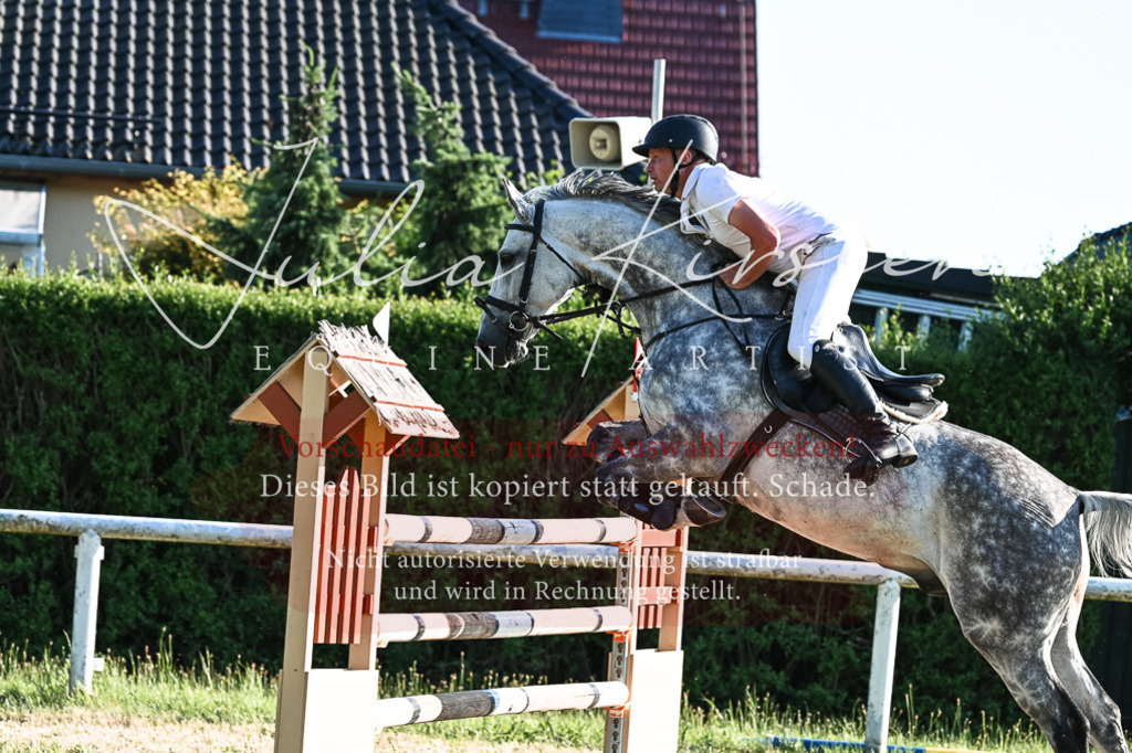 DSC_3058 | Pferde- und Turnierfotografie in Westsachsen. Pferdeportraits, Auftragszeichnungen und intuitive Kunst.
