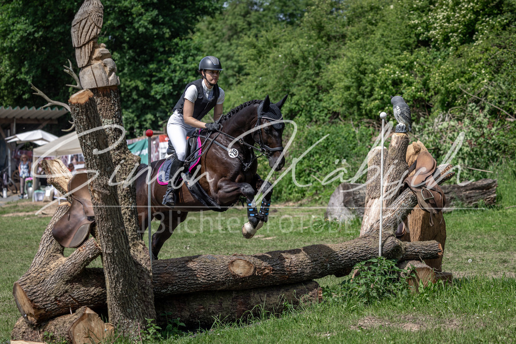 20260523-_3LI9061 | Tierfotografie Pferde, Hunde, Katzen, Haustiere.
Turnierfotografie Reitturniere, Reiten, Springreiten, Dressur in Hanau, dem Main-Kinzig-Kreis und dem Rhein-Main- Gebiet um Frankfurt