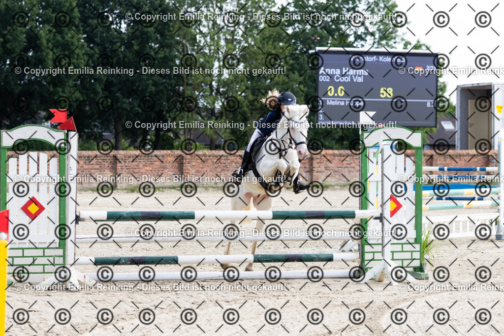 CL5A6062 | Emilia Reinking Fotografie - Realisiert mit Pictrs.com