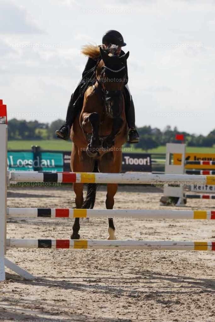 JoYaR6_Heidehof_00593 | JoYa Fotografie - Realisiert mit Pictrs.com