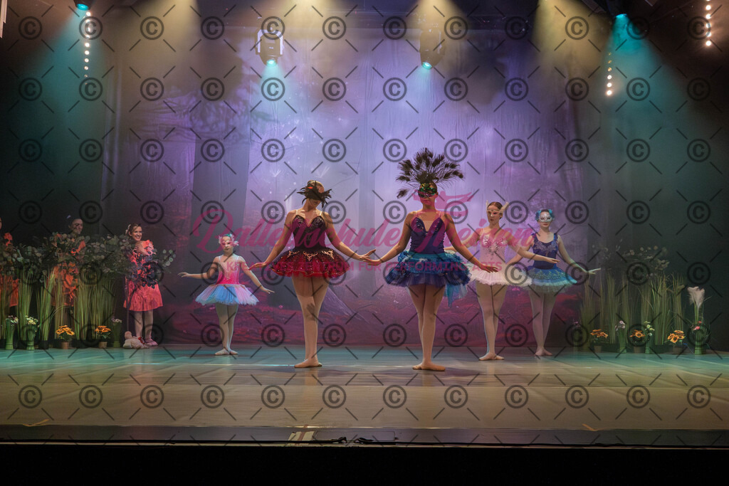 Ballettaufführung-869 | Bildershop Lem'n Entertainment - Realisiert mit Pictrs.com