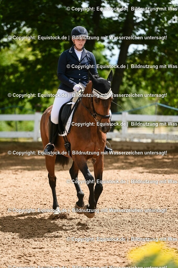 20230716_03_Dressurprfg. Kl.L - Tr._0683 | equistock