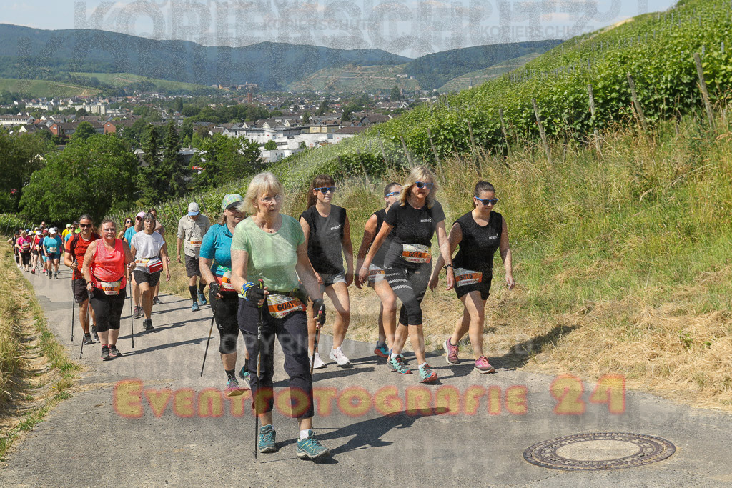 230617_1108_EV9_7674 | Sportfotografie im Rhein-Sieg Kreis, Köln, Bonn, NRW, Rheinland Pfalz, Hessen, etc. Unser Tätigkeitsfeld umfasst den Laufsport vom Volkslauf über den Marathon, Duathlon, Triathon bis zum Ultralauf wie Kölnpfad Ultra oder Schindertrail.