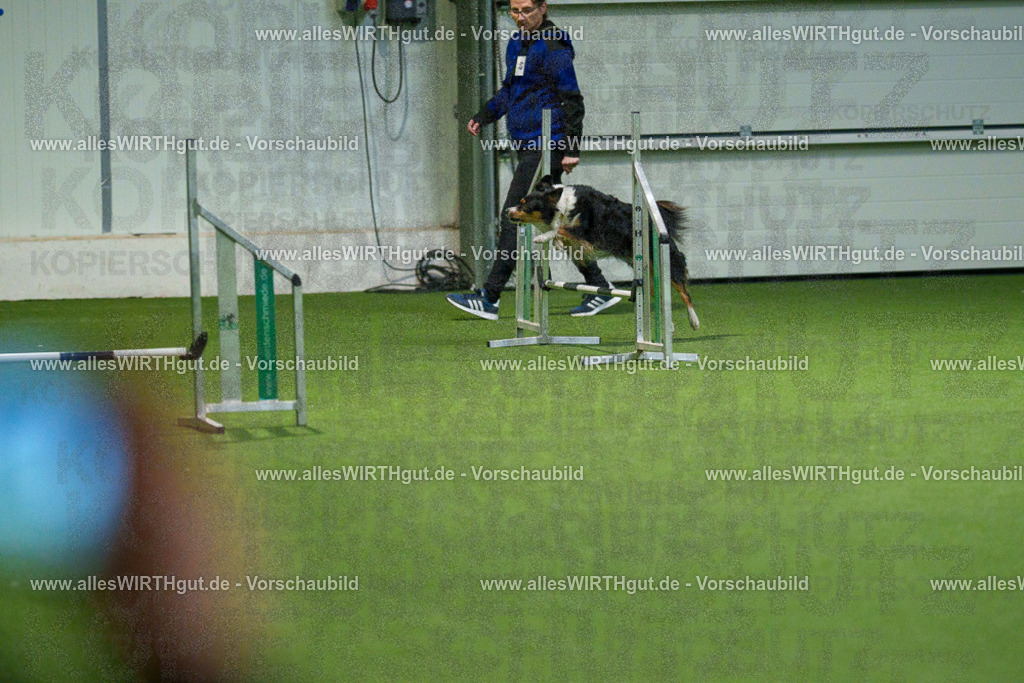 7R508186 | Professionelle Tierfotografie in Mönchengladbach von Daniel Wirth (allesWIRTHgut). Liebevolle & natürliche Bilder von Hunden & Katzen für unvergessliche Erinnerungen.