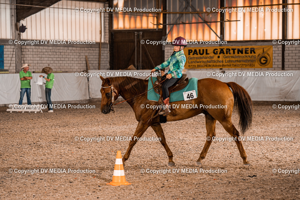 ZH200296 | dv-media-shop - Realisiert mit Pictrs.com