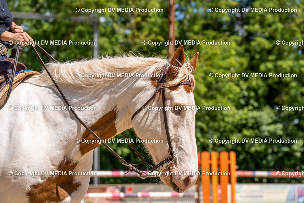 Zeiskam Tag 2-0865 | dv-media-shop - Realisiert mit Pictrs.com