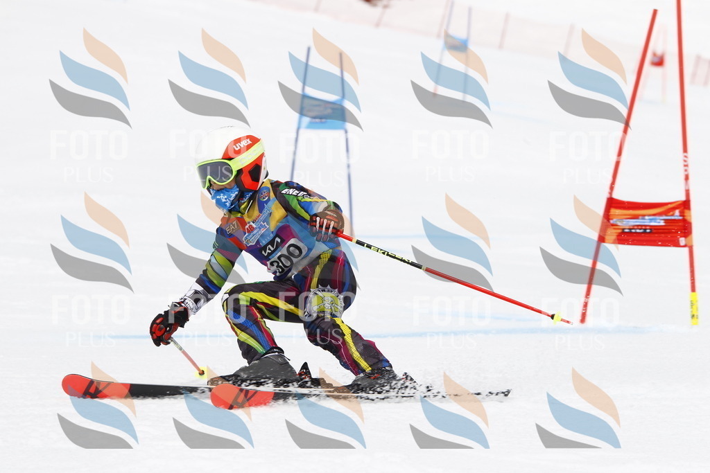 _U3G7481 | holidayphoto