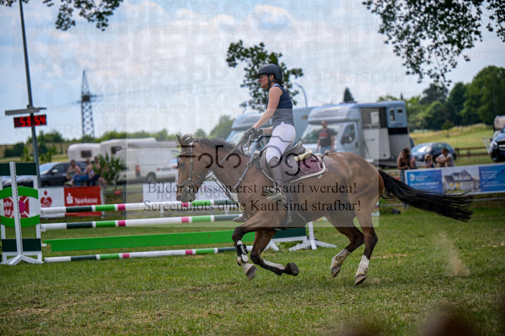 Reitturnier Voxtrup | Entdecke hochwertige Reitturnierfotos von Foto Oger. Professionell, emotional und authentisch – jetzt Lieblingsmomente im Shop bestellen.Deutschlandweite Turnierfotografie. - Realized with Pictrs.com