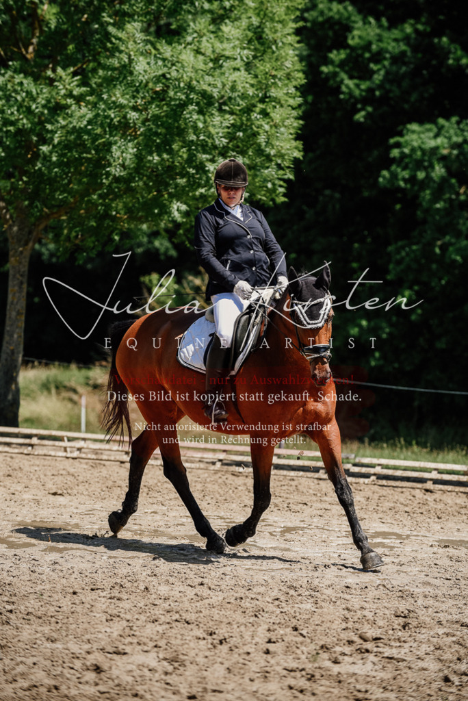 DSC_1989 | Pferde- und Turnierfotografie in Westsachsen. Pferdeportraits, Auftragszeichnungen und intuitive Kunst.