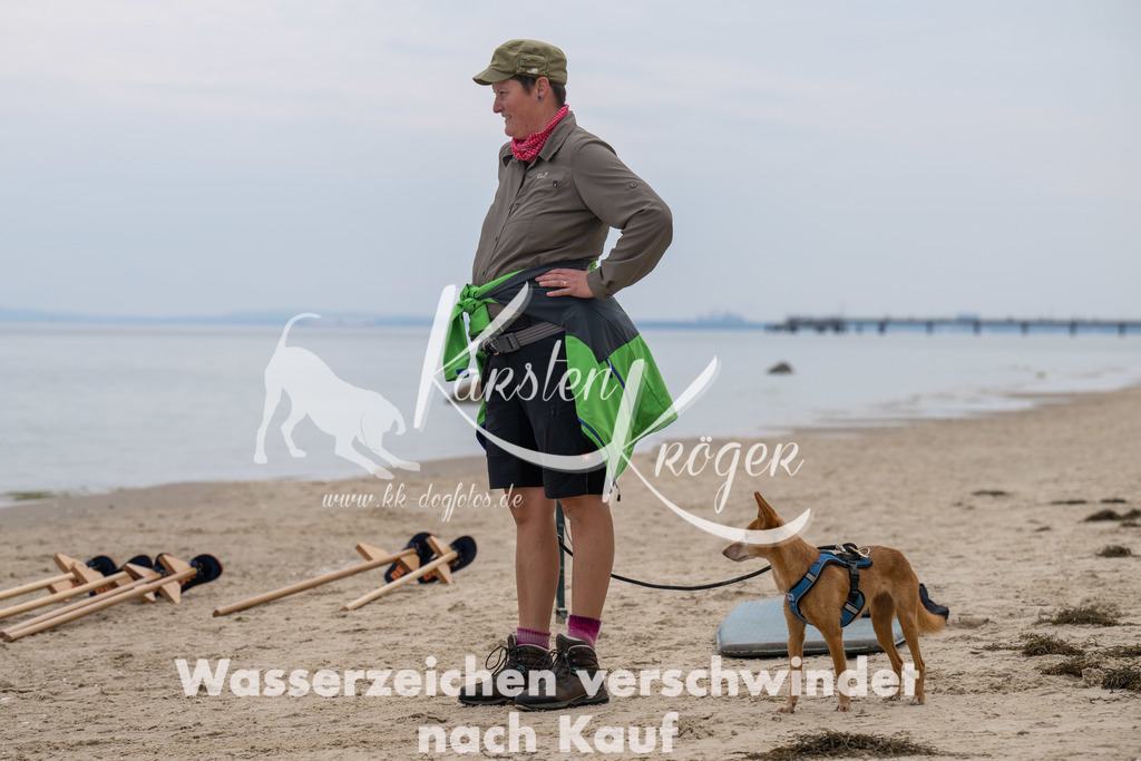 1310_ZZ93708 | kk-dogfotos