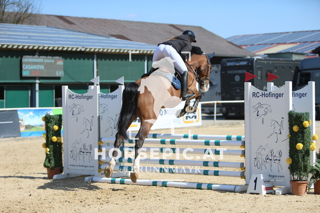 DL2Q3182 | Willkommen bei Brunnmayr - Design & Fotografie – Ihrem Spezialisten für Reitturniere und Pferdeveranstaltungen in Oberösterreich, Salzburg und Bayern! Seit über 17 Jahren sind wir leidenschaftlich dabei.