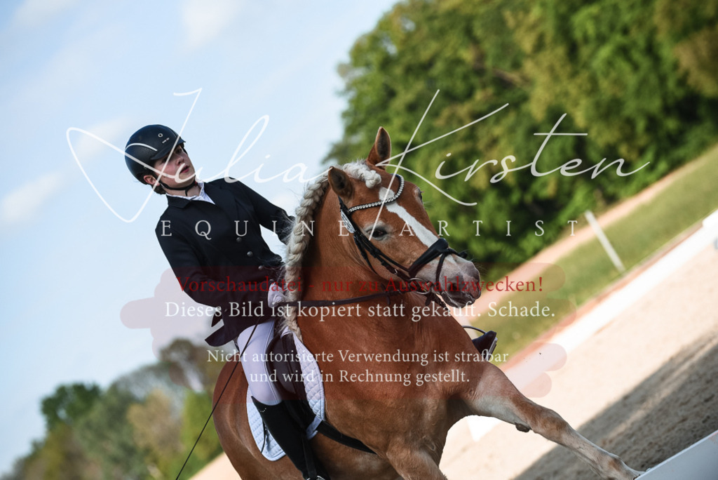20230518_JK-Röhrsdorf-12-1026 | Pferde- und Turnierfotografie in Westsachsen. Pferdeportraits, Auftragszeichnungen und intuitive Kunst.