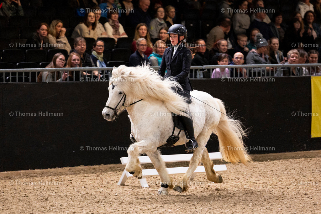TH_Hengstschau_6196 | EQUITANA Essen 2023 am 14.03.23 in Essen, Thomas Hellmann, Hengstschau