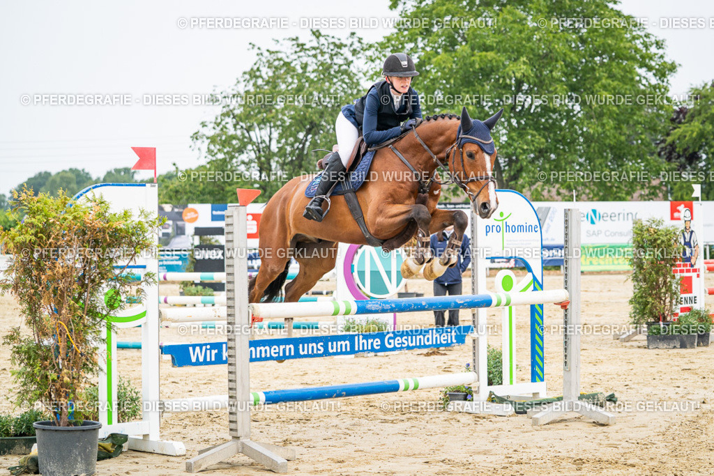 DSC09834 | Pferdegrafie