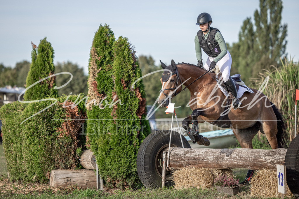 20250907-_3LI8526 | Tierfotografie Pferde, Hunde, Katzen, Haustiere.
Turnierfotografie Reitturniere, Reiten, Springreiten, Dressur in Hanau, dem Main-Kinzig-Kreis und dem Rhein-Main- Gebiet um Frankfurt
