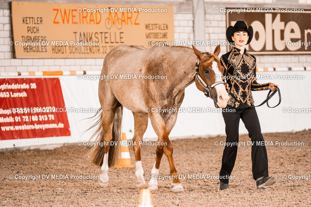 ZH200265 | dv-media-shop - Realisiert mit Pictrs.com