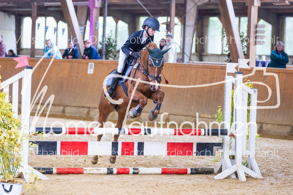 Sth-E-Springen-030 | MomenTaufnahmen Pferdesportfotos