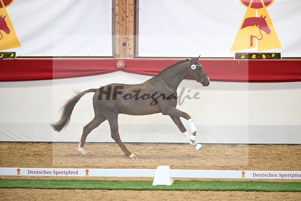 Kat.-Nr. 44 v. Bonds_Berger_2250094 | hf-fotografie - Realisiert mit Pictrs.com