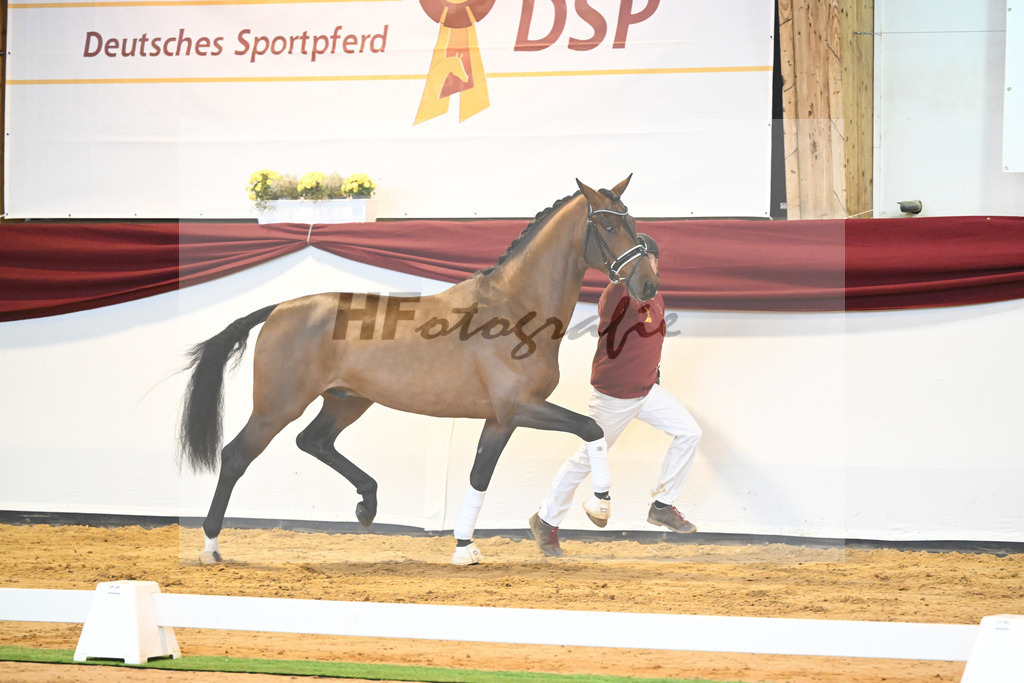 Kat-Nr. 64 v. Vitalis_Bock_66222151 | hf-fotografie - Realisiert mit Pictrs.com