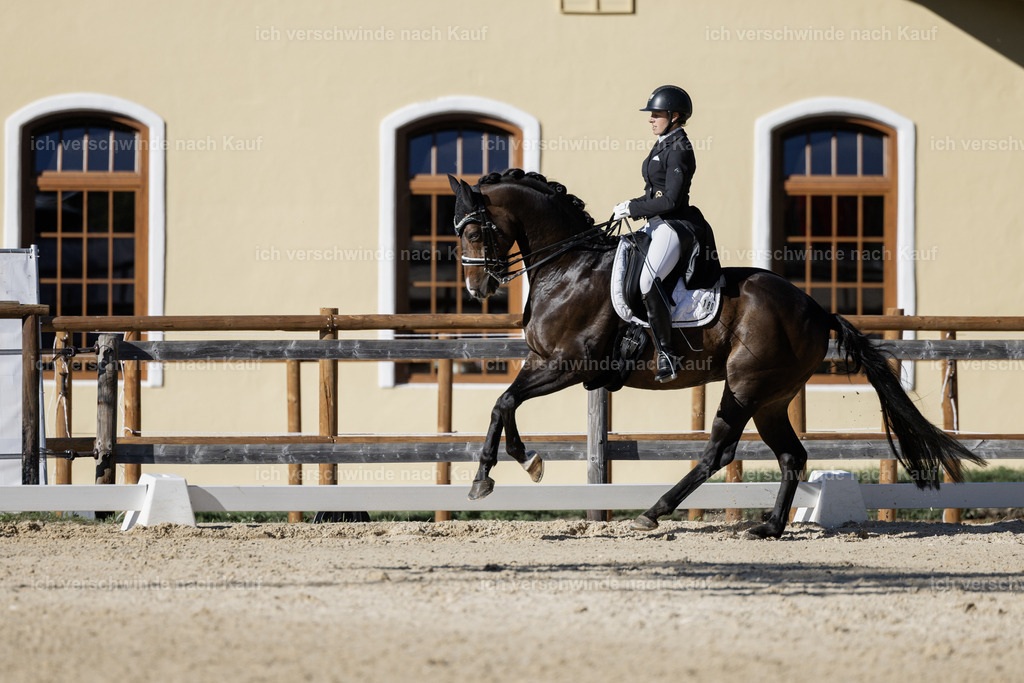 FHC2026_P09_180_18657 | Fichtenhof Classics 2026 – Grand Prix de Dressage - VOLTAIRE Design Preis, Reitanlage Fichtenhof, Sch ftlarn