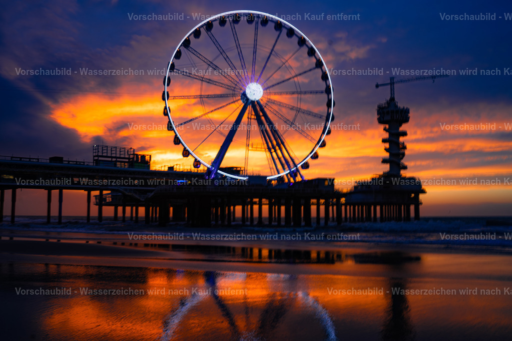 DSC00703-Enhanced-NR | marcuslinek