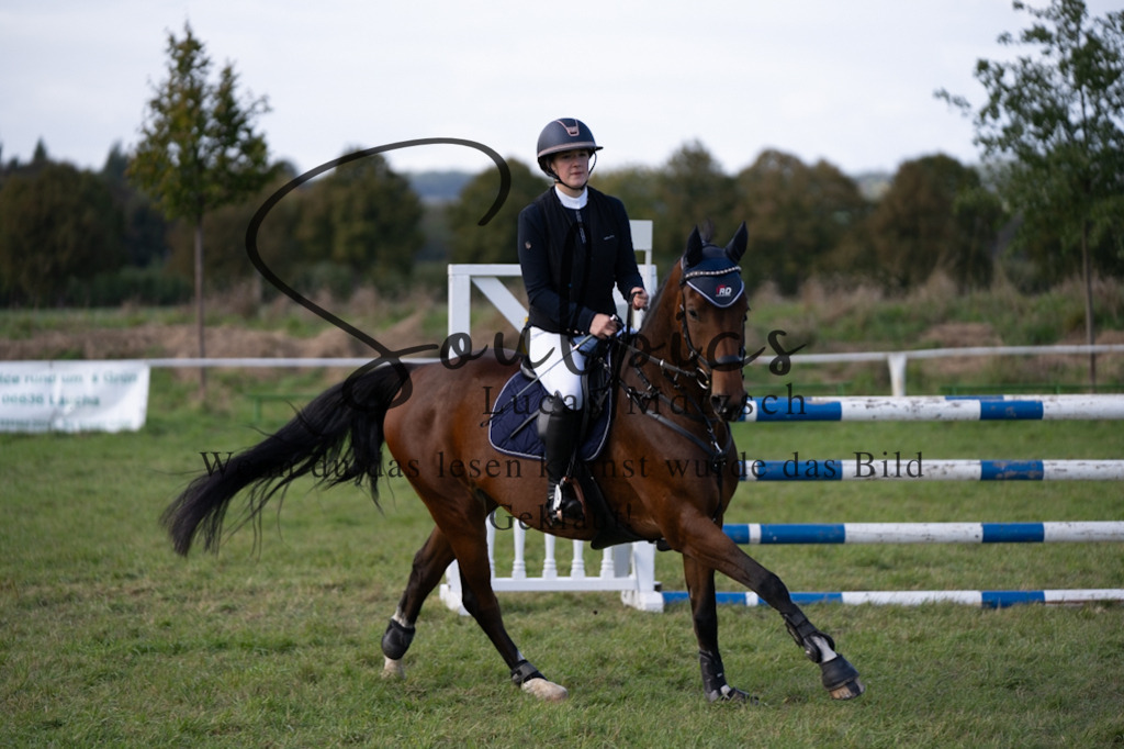 A7V06996 | Pferdefotograf