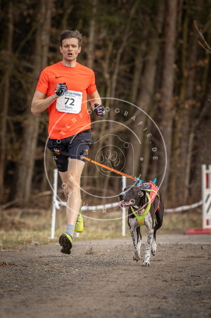 DV3A3645 | Hundefotografie, Tierfotograf, Pfotenfotografie, Fotoshooting Hund, Hunde Portrait, Hundesport, Hundeportraits, Heideshooting, Hunde, Sportfotograf, Hundefotograf, Turnierhundsport, THS,  - Realisiert mit Pictrs.com