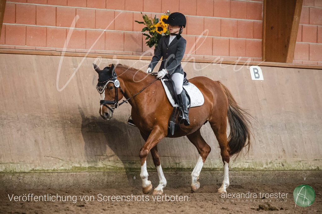 _MG_0871 | farbklaex.com