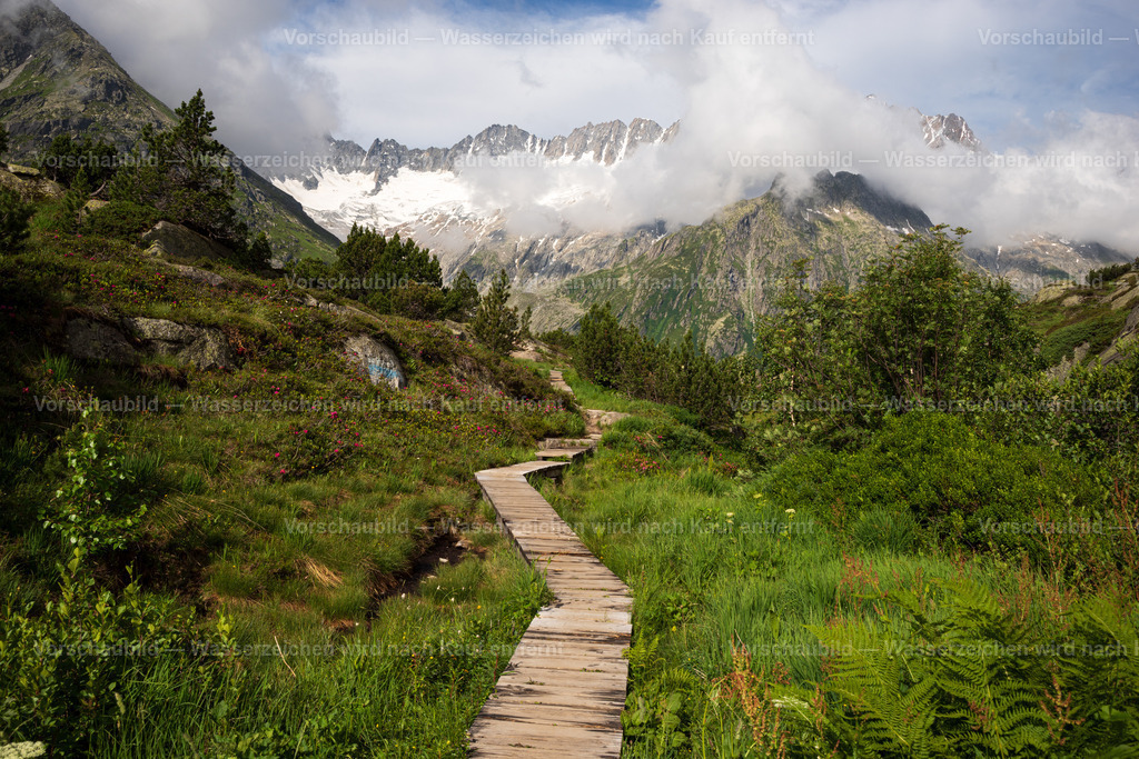 Im Hochmoor Göschener Alp | unterhalb des Dammastock im Kanton Uri, Schweiz - Realisiert mit Pictrs.com