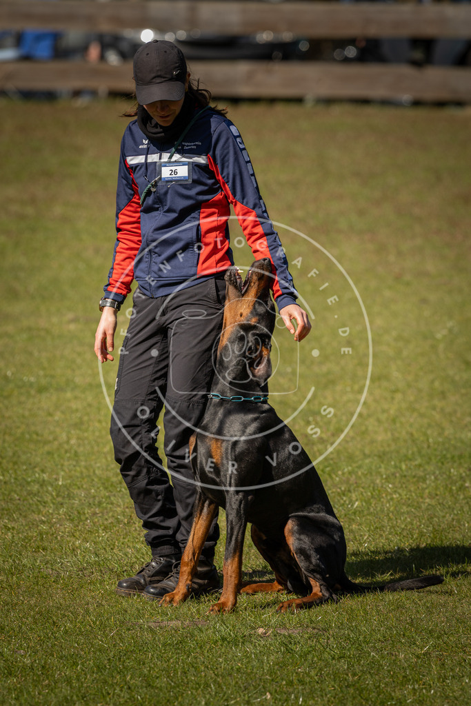 Pfotenfotografie_DV3A0767 | Hundefotografie, Tierfotograf, Pfotenfotografie, Fotoshooting Hund, Hunde Portrait, Hundesport, Hundeportraits, Heideshooting, Hunde, Sportfotograf, Hundefotograf, Turnierhundsport, THS,  - Realisiert mit Pictrs.com