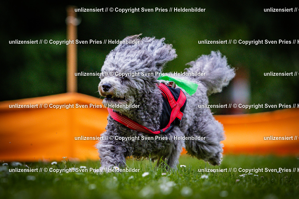 Sven Pries | 2025-05-29 - Pudelrennen KA-Durlach - Realisiert mit Pictrs.com