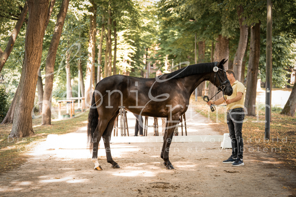 FrPfM00196 | Leoni Ertmer Photography - Realisiert mit Pictrs.com