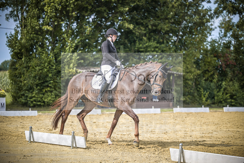 DOS_6818 | Entdecke hochwertige Reitturnierfotos von Foto Oger. Professionell, emotional und authentisch – jetzt Lieblingsmomente im Shop bestellen.Deutschlandweite Turnierfotografie. - Realisiert mit Pictrs.com