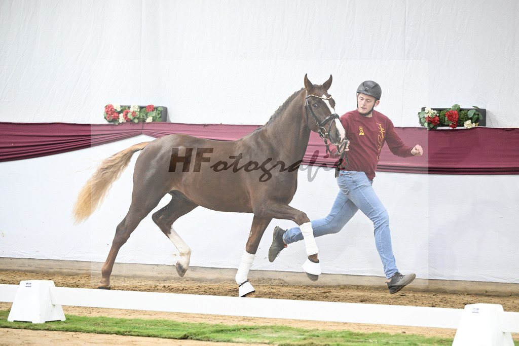 Kat-Nr. 64 Sky x Damsey_Heiko Klausing_47252306 | hf-fotografie - Realisiert mit Pictrs.com