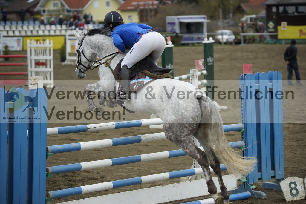 _DSC7268 | equestrian-live-com