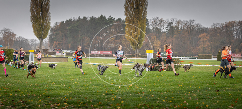 CaniXpix_DV3A8818 | Hundefotografie, Tierfotograf, Pfotenfotografie, Fotoshooting Hund, Hunde Portrait, Hundesport, Hundeportraits, Heideshooting, Hunde, Sportfotograf, Hundefotograf, Turnierhundsport, THS,  - Realisiert mit Pictrs.com