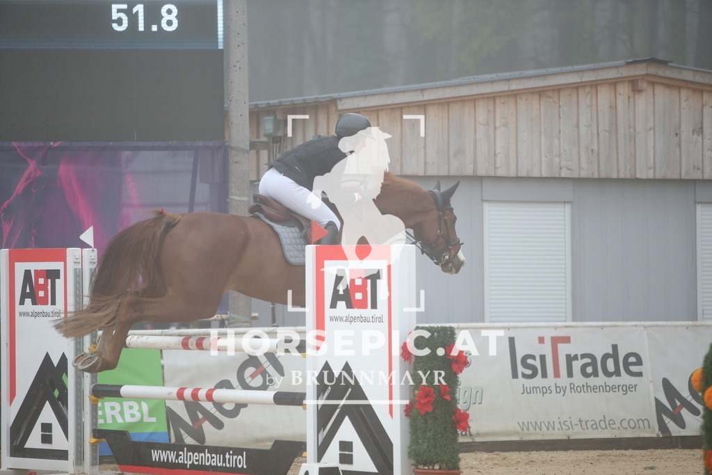 PP012408 | Willkommen bei Brunnmayr - Design & Fotografie – Ihrem Spezialisten für Reitturniere und Pferdeveranstaltungen in Oberösterreich, Salzburg und Bayern! Seit über 17 Jahren sind wir leidenschaftlich dabei.