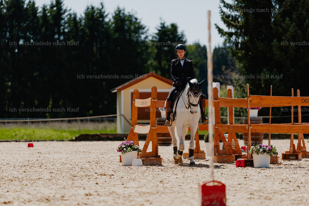 Steffi23_FHC2025-41 | working equitationturnier fotograf videograf stoibphotography marixx film working equitation deutschland reitsport turnierfotografie eventfotografie equestrian events