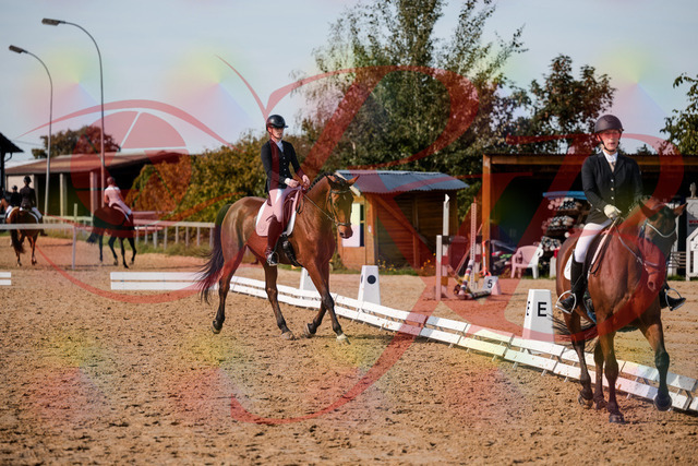 2026_10_03_Siefer-Hof_131123_Z63_74769732 | Professionelle Reitsport-, Turnier- und Eventfotografie von Robert Broda. Galerien mit ausgewählten und bearbeiteten Bildern direkt online ansehen und bestellen.
