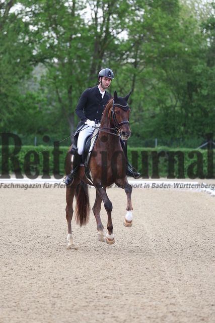 Böblingen_2023_Prfg_Nr.01_Dressur_Kl.S_Kür_Tobias Eckert_Bon Jovi - R (3) | Alle Fotos der Reiterjournal Fotografin Doris Matthaes im Reiterjournal Online-Fotoshop. - Realisiert mit Pictrs.com