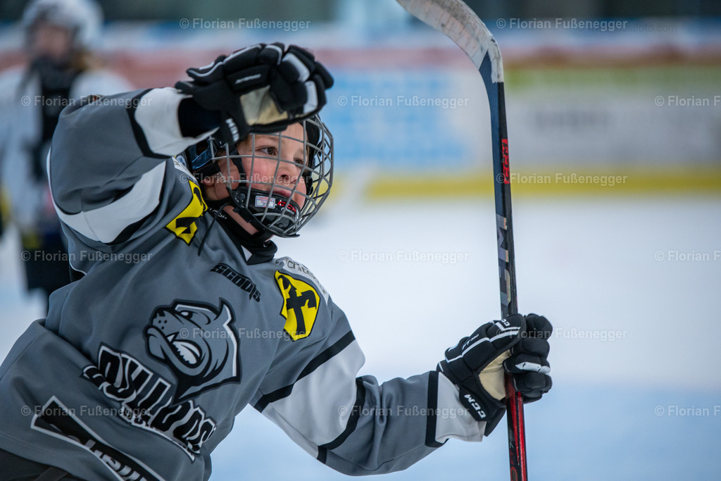 2025-03-01-Bärencup Wil-072 | "Fussifoto.com – Ihr Ansprechpartner für hochwertige Fotografie! Entdecken Sie kreative Bilder und professionelle Dienstleistungen. Kontaktieren Sie uns für Ihre Projekte!"
