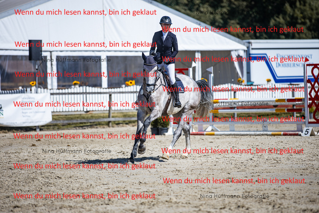 BK1A5554 | Turnierbilder Turnierfotos Nina Hüffmann Turnierfotografie Pferdefotografie Tierzeichnung Haustierzeichnung Pferdezeichnung Hundezeichnung Videograf  - Realisiert mit Pictrs.com