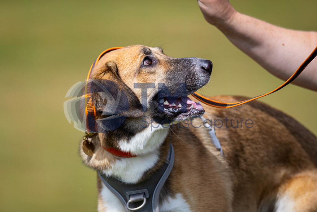 TP-20240815-0187 | Copyright: Trainproduction / Matthias Trinkl