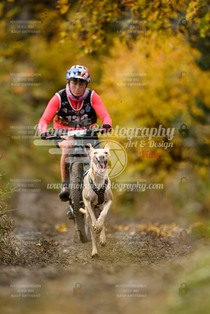 MompixPhotography_ICF_WC_2024_SA_Bike_-133 | PayLife