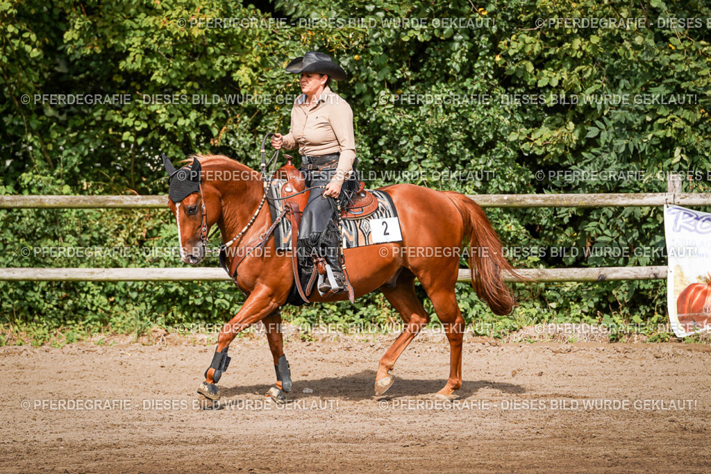 DSC09596 | Pferdegrafie