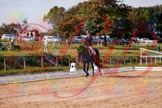 2026_10_03_Siefer-Hof_115627_Z81_97461888 | Professionelle Reitsport-, Turnier- und Eventfotografie von Robert Broda. Galerien mit ausgewählten und bearbeiteten Bildern direkt online ansehen und bestellen.