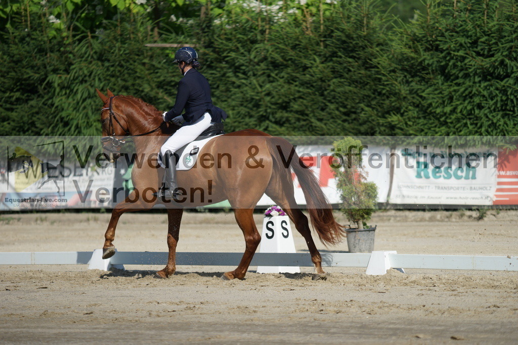 DSC04484 | equestrian-live-com