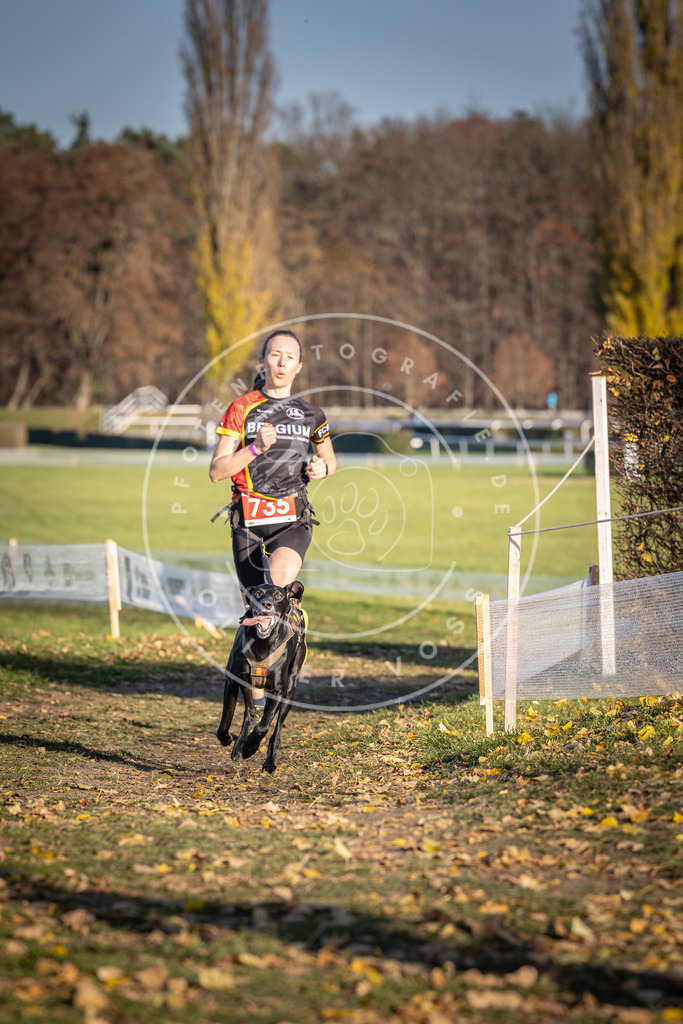 CaniXpix_DV3A2114 | Hundefotografie, Tierfotograf, Pfotenfotografie, Fotoshooting Hund, Hunde Portrait, Hundesport, Hundeportraits, Heideshooting, Hunde, Sportfotograf, Hundefotograf, Turnierhundsport, THS,  - Realisiert mit Pictrs.com