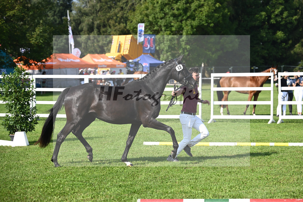 Kat-Nr. 13 Sunrise_Hoffmann_34240212 | hf-fotografie - Realisiert mit Pictrs.com