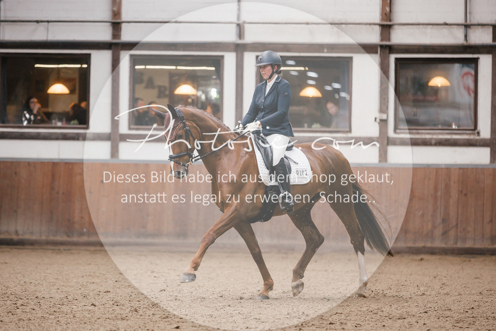 3I6A6188 | Stimmungsvolle Portraits und Reitsportfotografie im Ruhrgebiet und im Münsterland.

Pferdefotografie, Hundefotografie, Tierfotografie, Reportagen, Portraits von Tier und Mensch, Turnierfotografie in Bochum, Recklinghausen, Marl, Haltern am See, Dülmen.. - Realisiert mit Pictrs.com